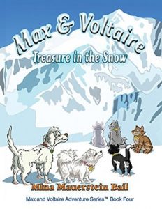 Max and Voltaire: Treasure in the Snow